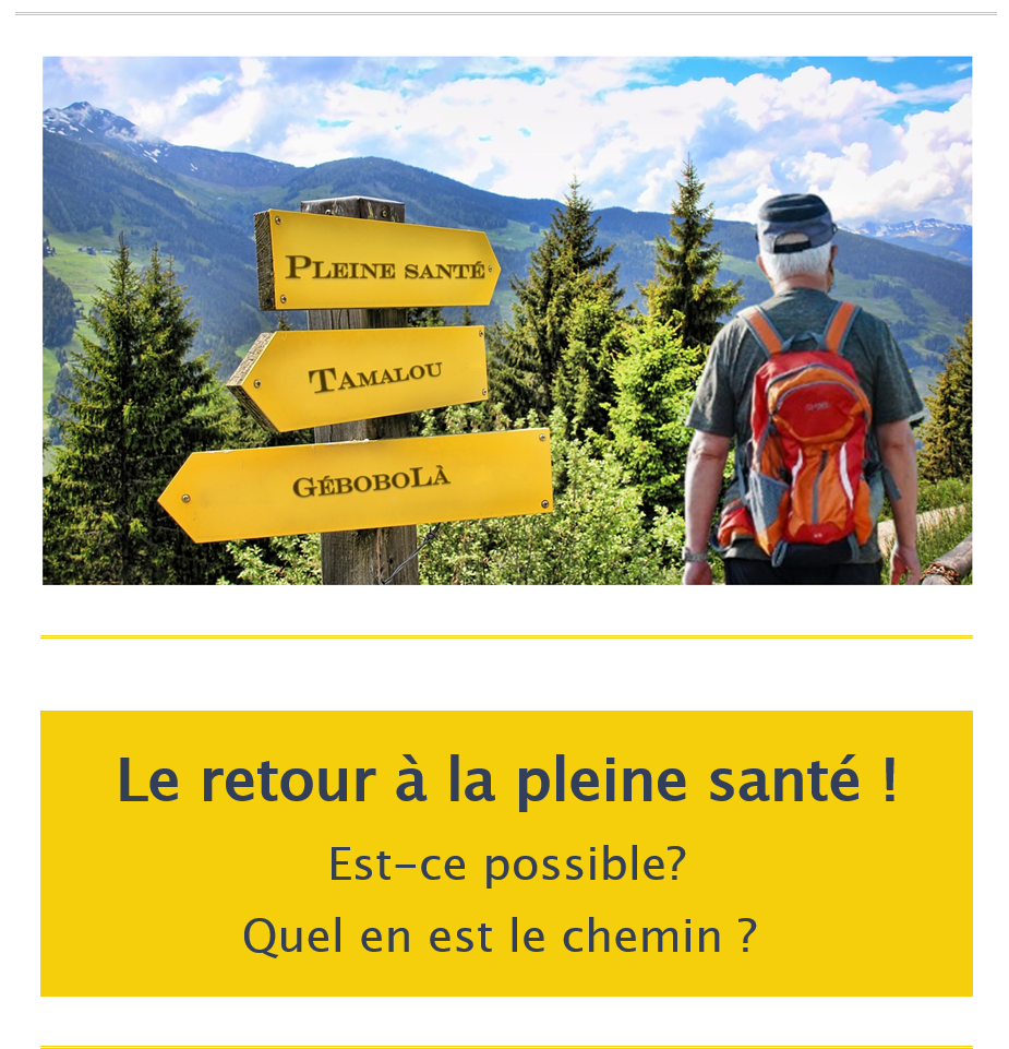 Les ondes électromagnétiques. Leur impact sur la santé...